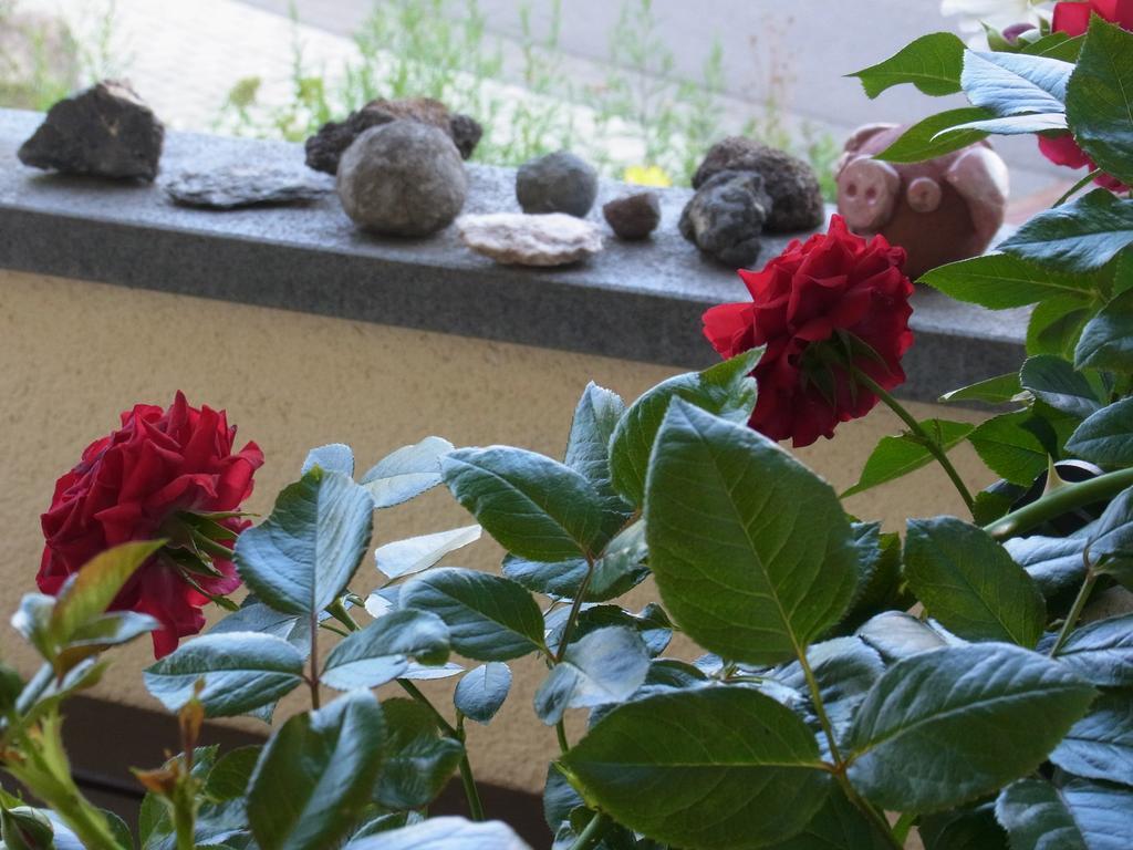 Gaestehaus Villaverde Kelberg Dış mekan fotoğraf